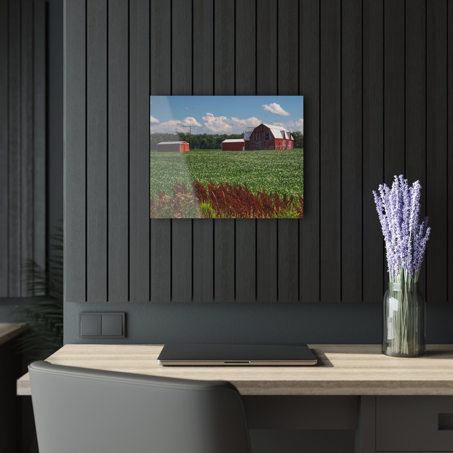 Barn Boutique Modern Farmhouse Acrylic Wall Print| South Gera Road Reds