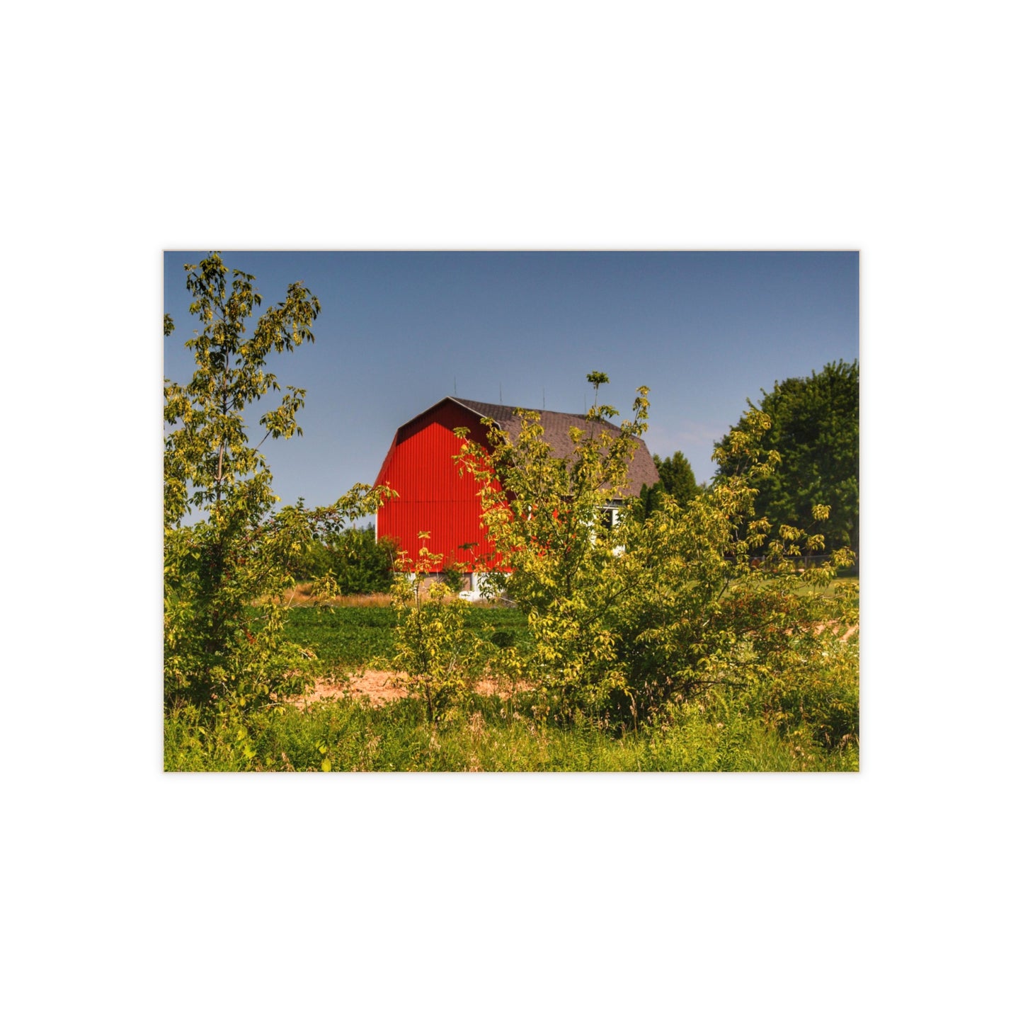 U R There Photography Beyond the Bushes Red Rustic Farmhouse Decorative Ceramic Tile