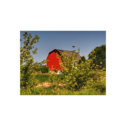 U R There Photography Beyond the Bushes Red Rustic Farmhouse Decorative Ceramic Tile