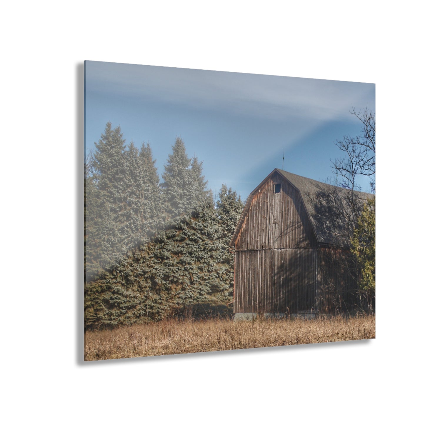 U R There Photography Washburn Old Grey Rustic Farmhouse Acrylic Wall Print