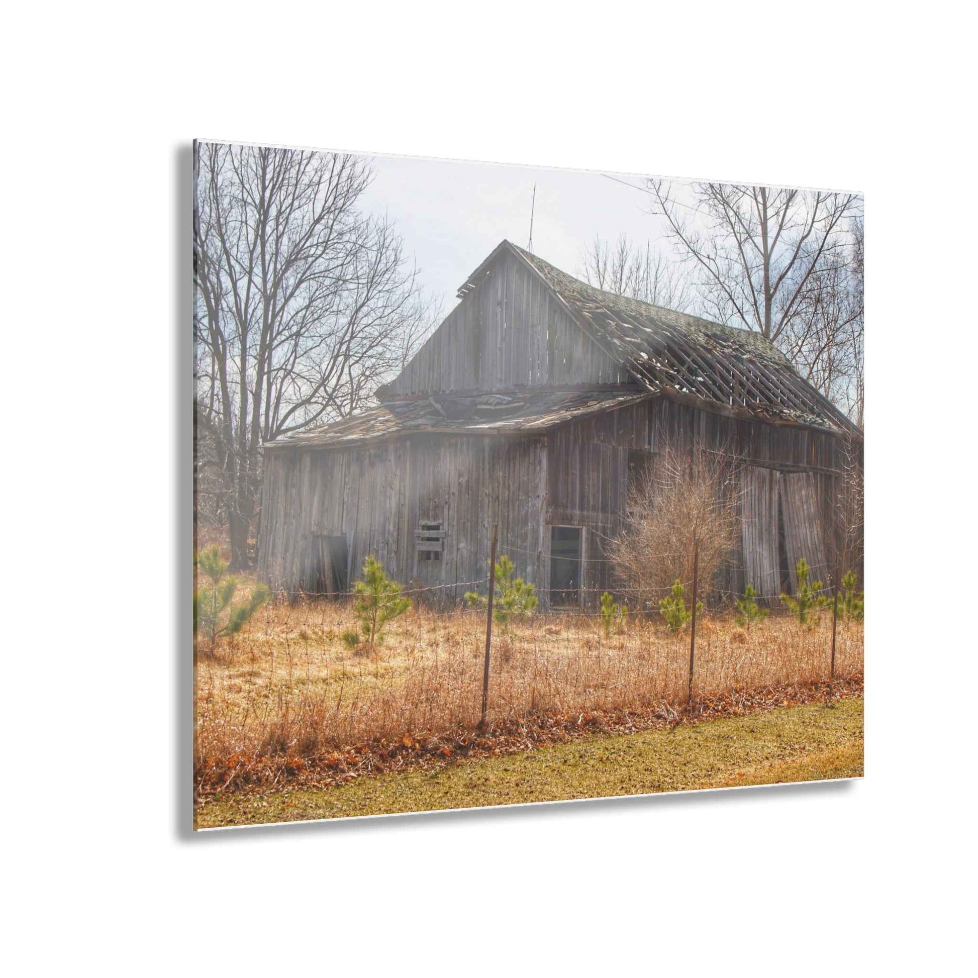 U R There Photography Leix Road Forgotten Grey I Rustic Farmhouse Acrylic Wall Print