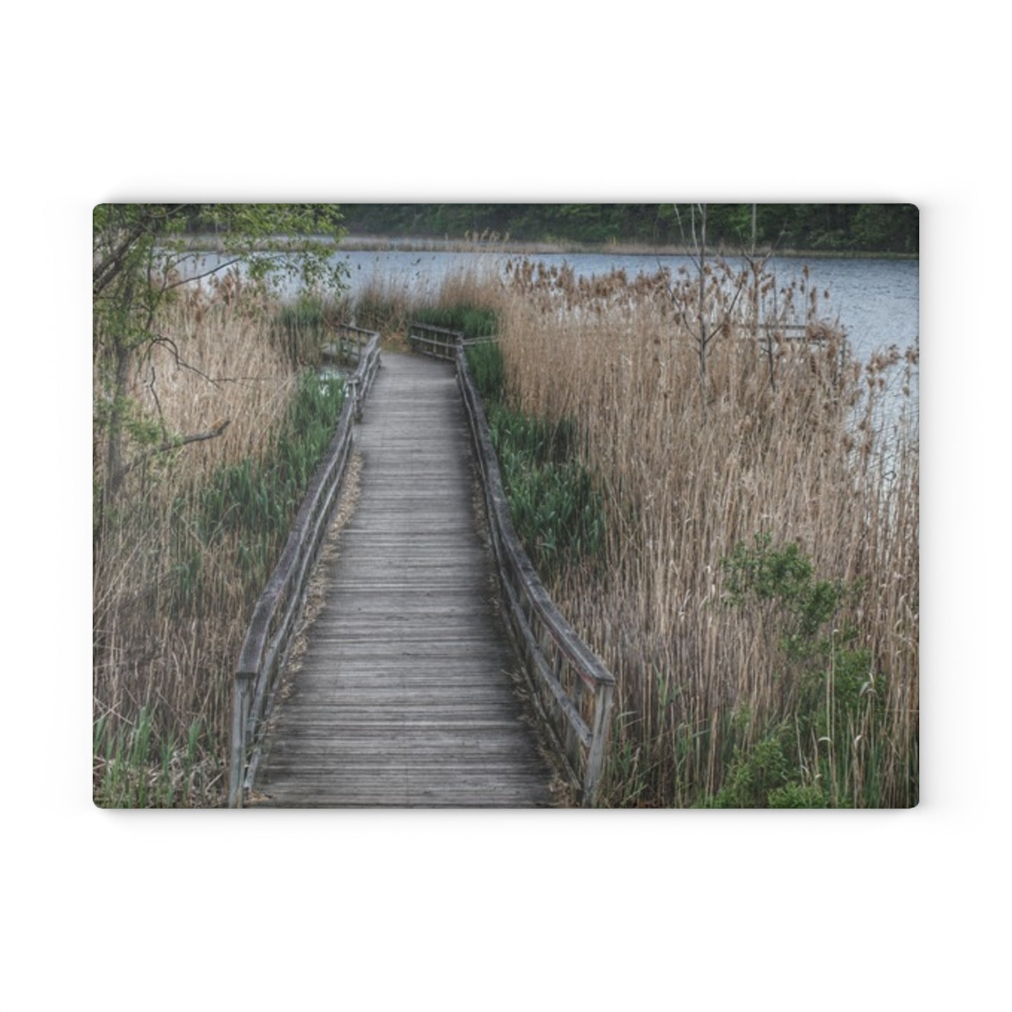 U R There Photography Linear Park Bridge in Lapeer II Rustic Farmhouse Tempered-Glass Cutting Board