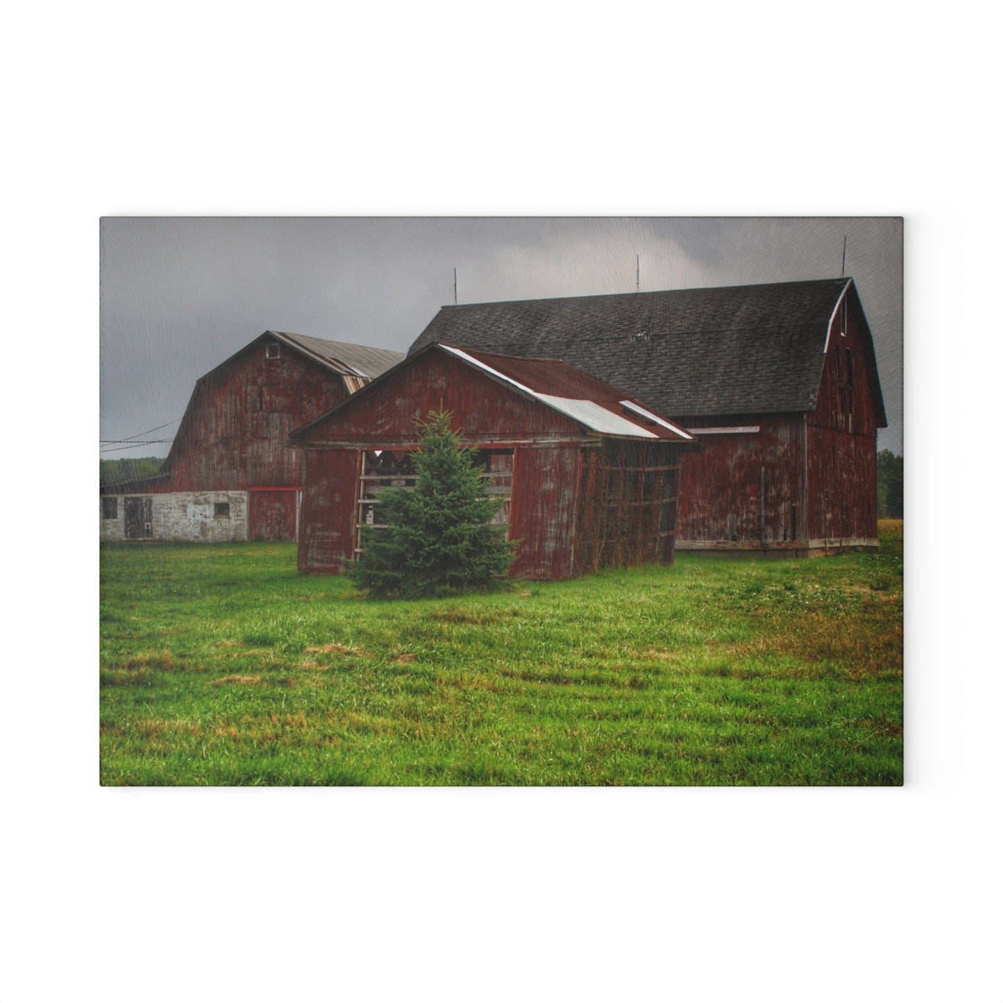 U R There Photography Winslow Road Reds Rustic Farmhouse Tempered-Glass Cutting Board