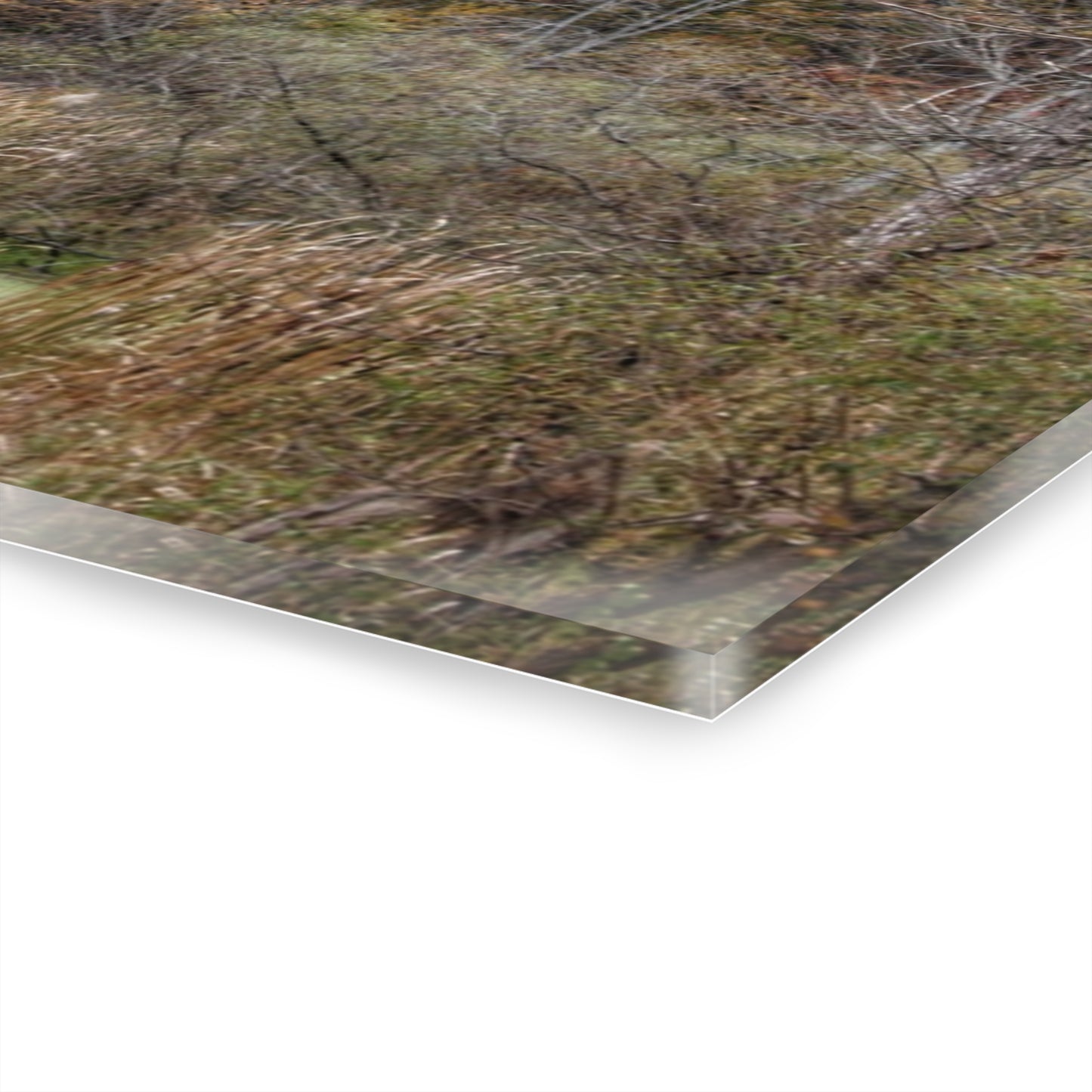 U R There Photography Country Roads in Dryden I Rustic Farmhouse Acrylic Wall Print