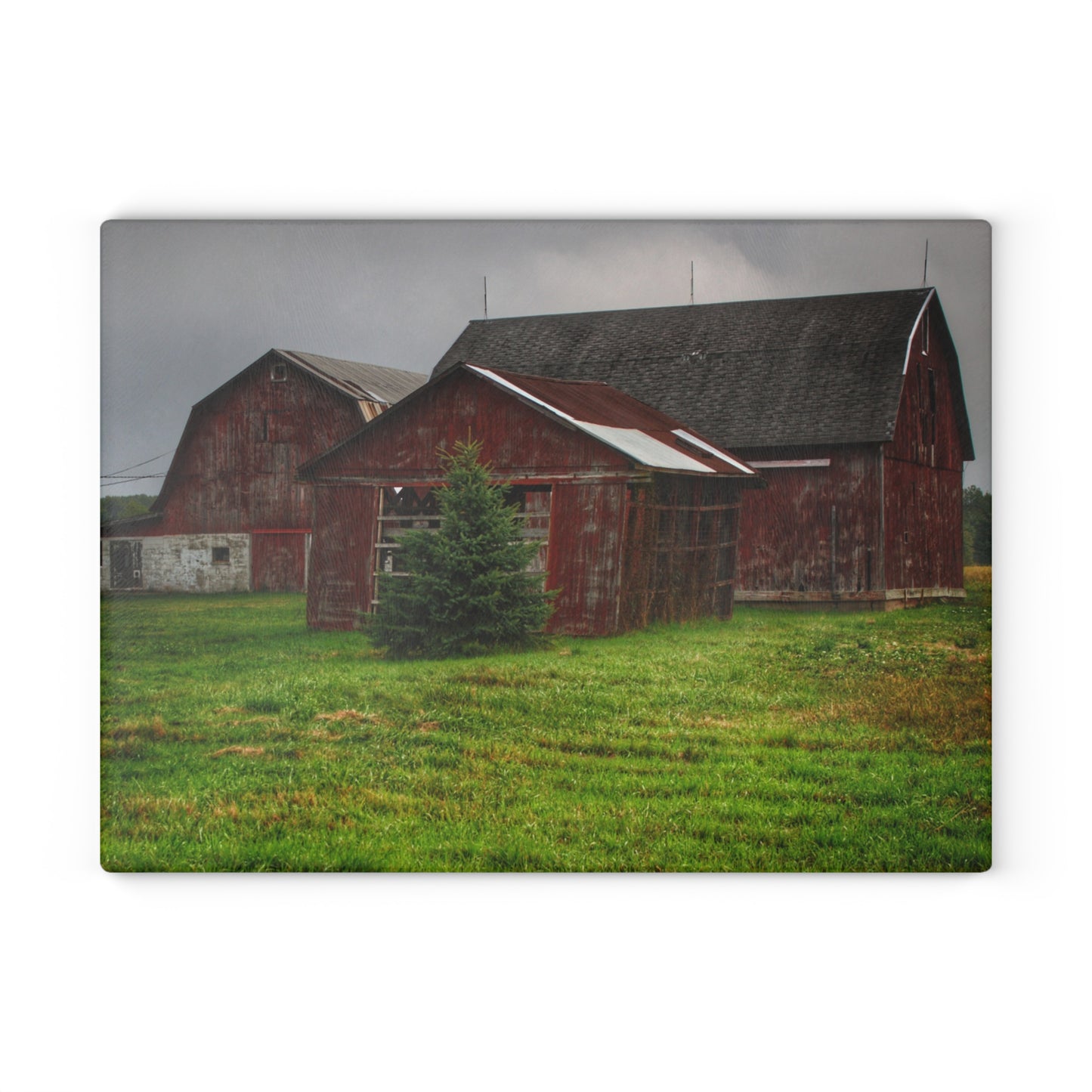 U R There Photography Winslow Road Reds Rustic Farmhouse Tempered-Glass Cutting Board