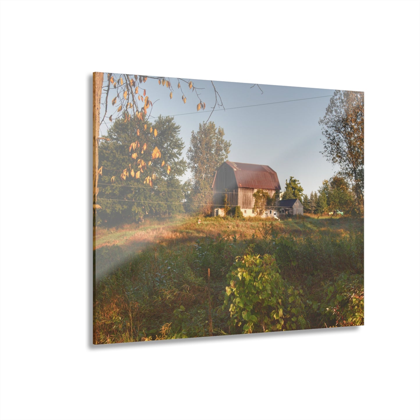 U R There Photography Swaffer Road Little Grey Rustic Farmhouse Acrylic Wall Print