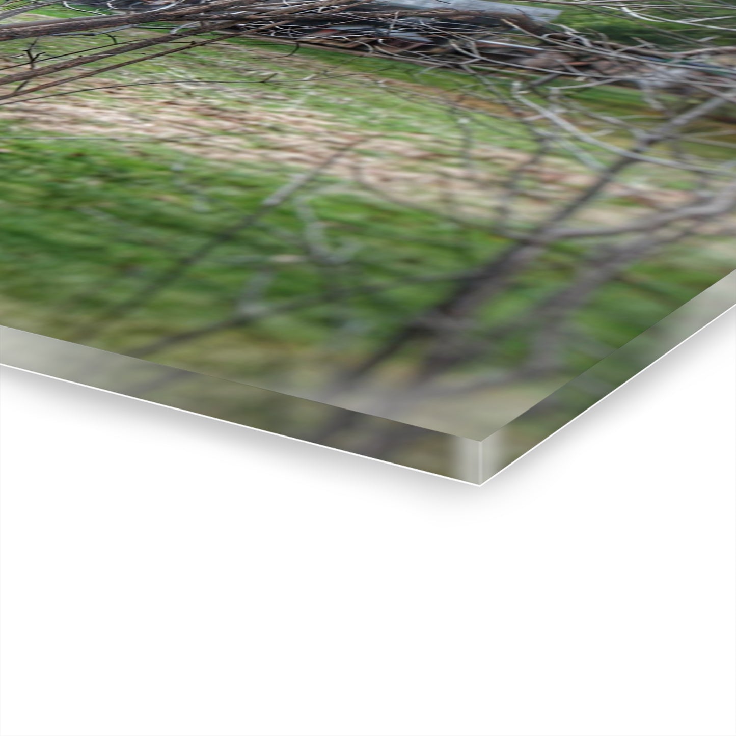 U R There Photography Hidden Capac Grey Rustic Farmhouse Acrylic Wall Print