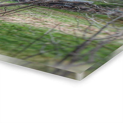 U R There Photography Hidden Capac Grey Rustic Farmhouse Acrylic Wall Print