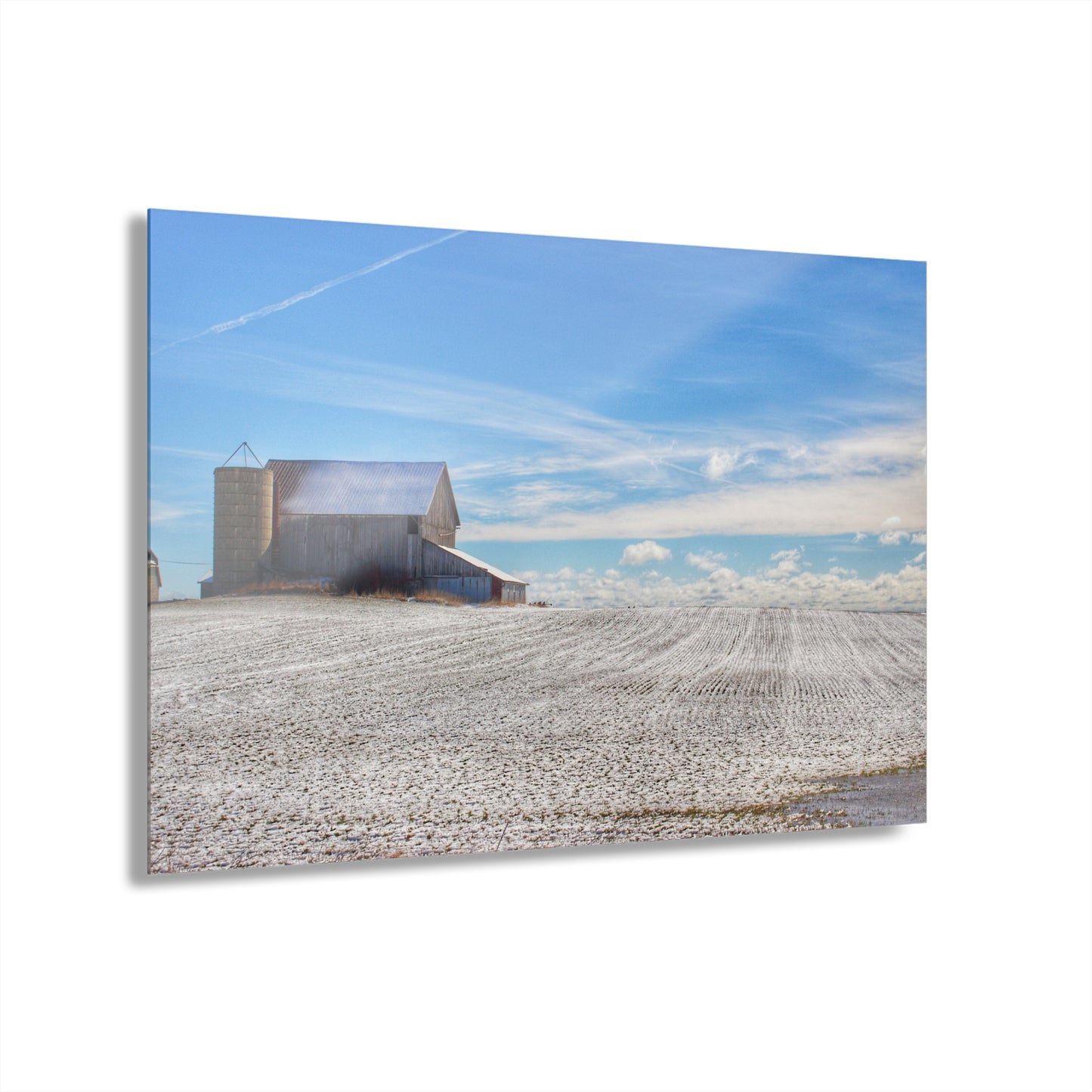 U R There Photography Early Spring Grey II Rustic Farmhouse Acrylic Wall Print