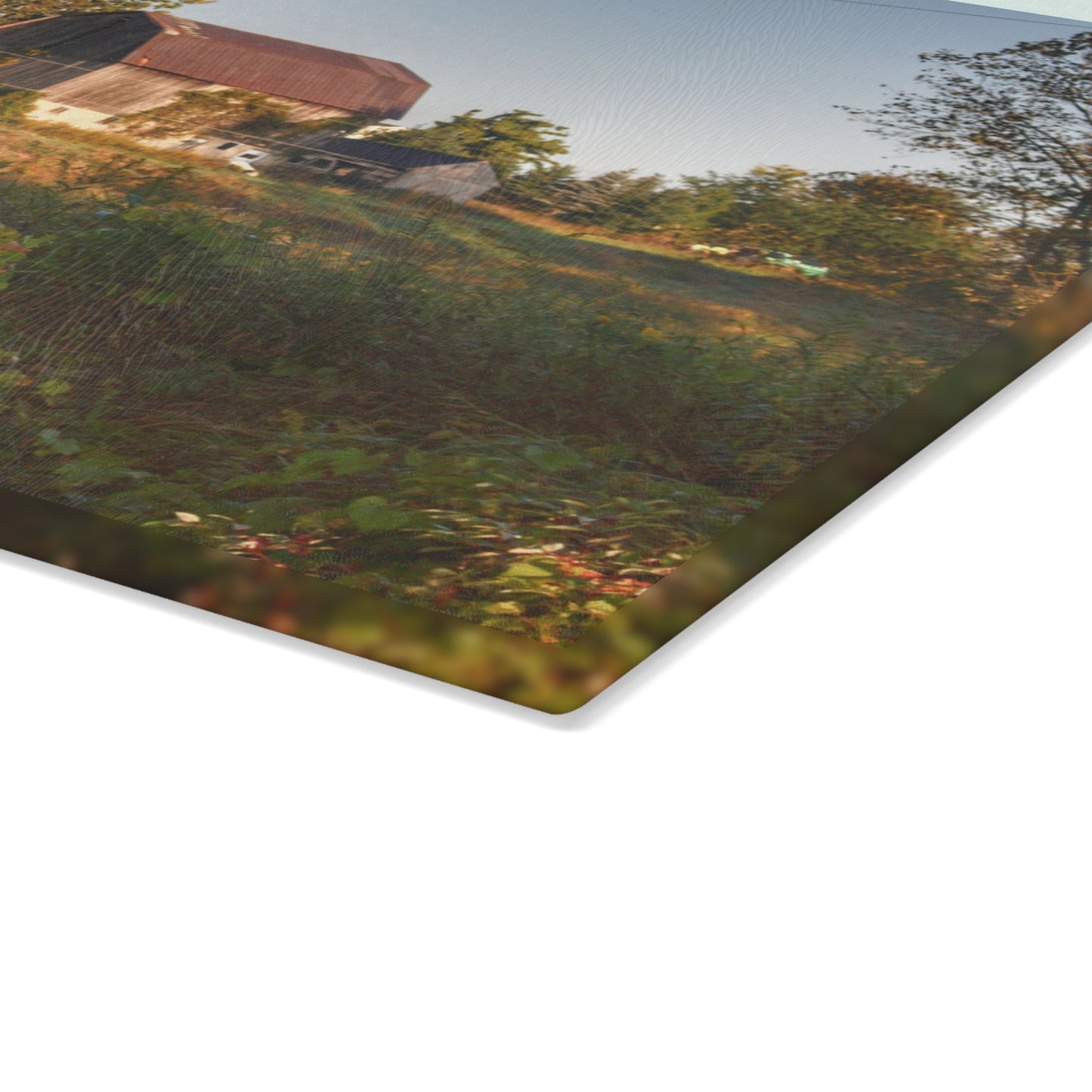 U R There Photography Swaffer Road Little Grey Rustic Farmhouse Tempered-Glass Cutting Board