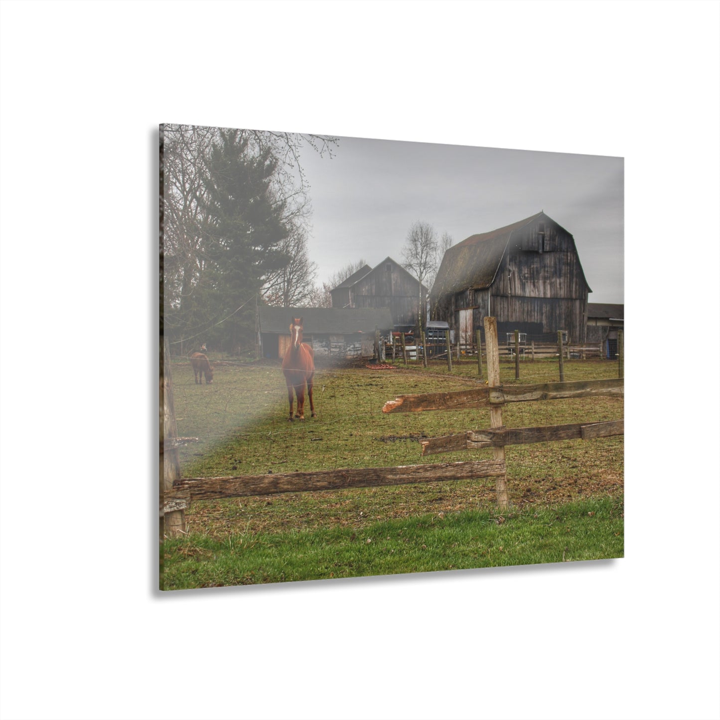 U R There Photography South Summers Road Old Grey and Caramel II Rustic Farmhouse Acrylic Wall Print