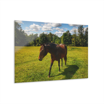 U R There Photography Brown Beauty II Rustic Farmhouse Acrylic Wall Print