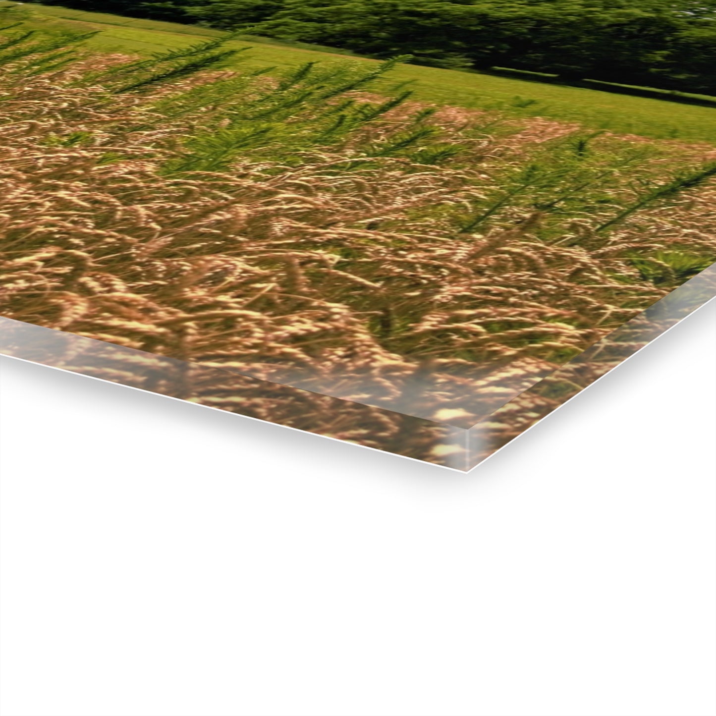 U R There Photography Northern White Rustic Farmhouse Acrylic Wall Print