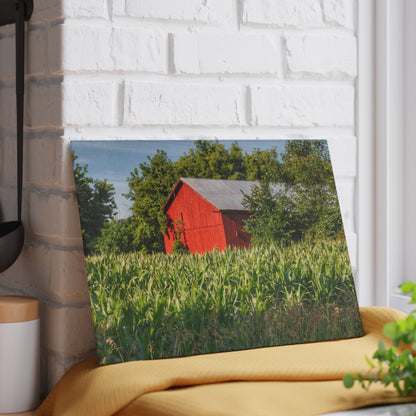 U R There Photography Willard Road Red III Rustic Farmhouse Tempered-Glass Cutting Board