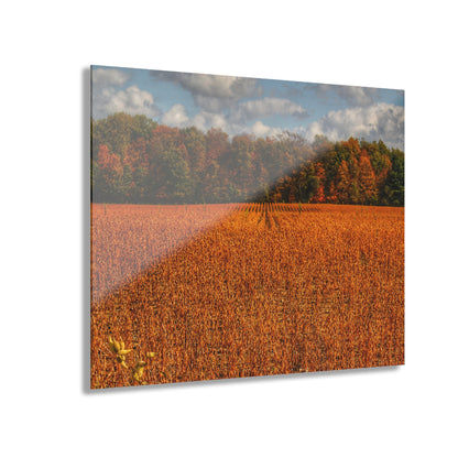 U R There Photography Fall on Murphy Lake I Rustic Farmhouse Acrylic Wall Print