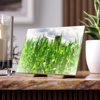 U R There Photography Beyond the Corn in Millington Rustic Farmhouse Decorative Ceramic Tile