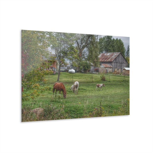U R There Photography Front Yard Ponies Rustic Farmhouse Acrylic Wall Print