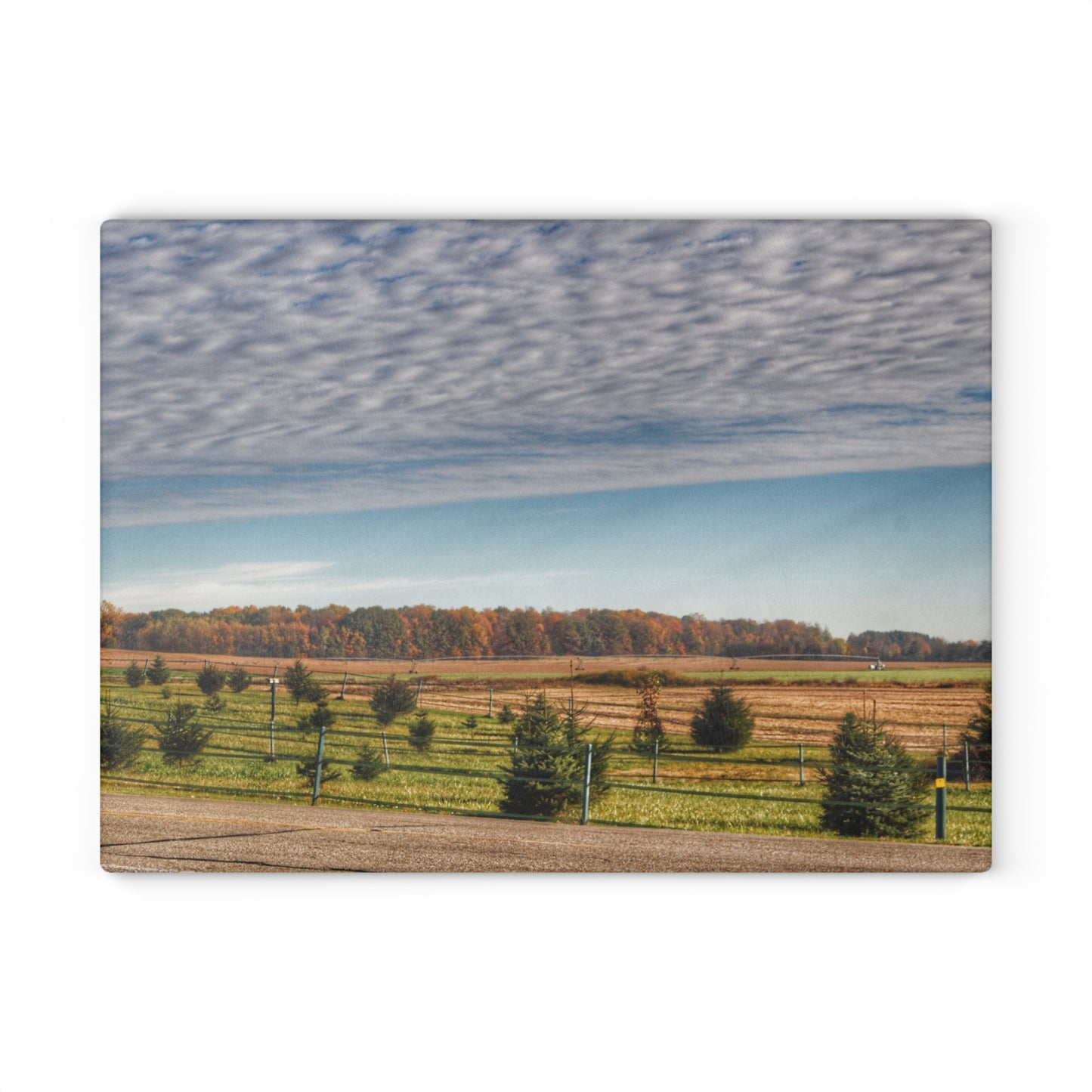 U R There Photography Fences, Firs and Fall Rustic Farmhouse Tempered-Glass Cutting Board