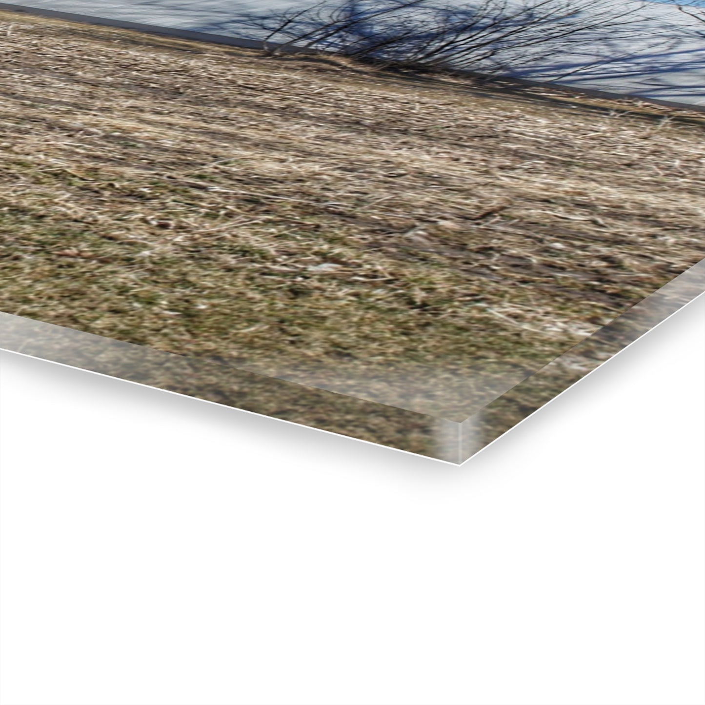 U R There Photography German Road Reds Rustic Farmhouse Acrylic Wall Print