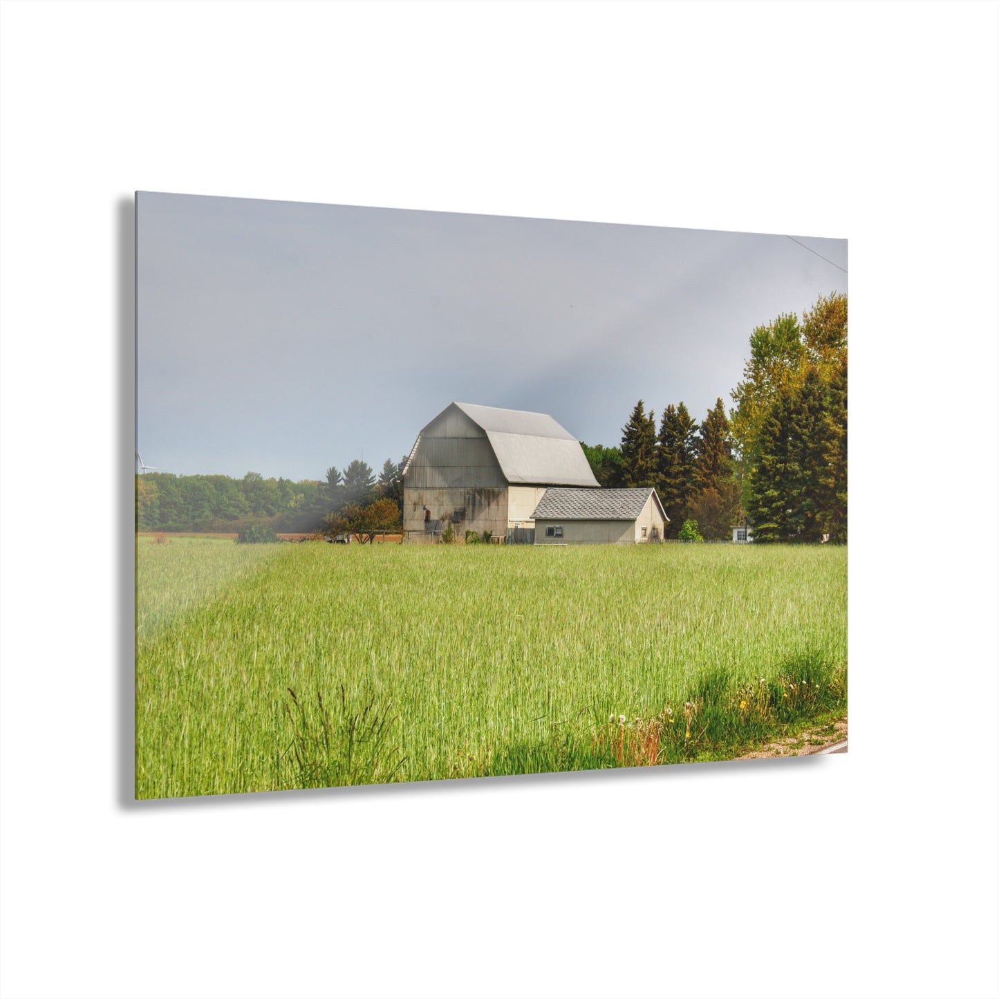 U R There Photography North Graf Road White Rustic Farmhouse Acrylic Wall Print