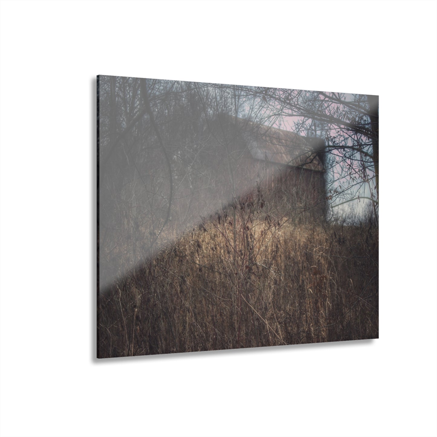 U R There Photography Mayville Hidden Barn I Rustic Farmhouse Acrylic Wall Print