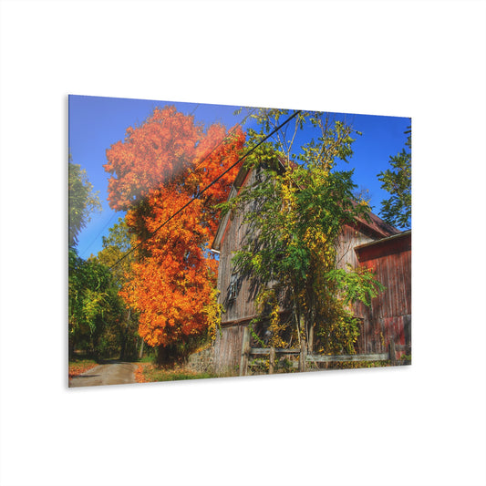 U R There Photography Oxford Rusted Red in Fall Rustic Farmhouse Acrylic Wall Print