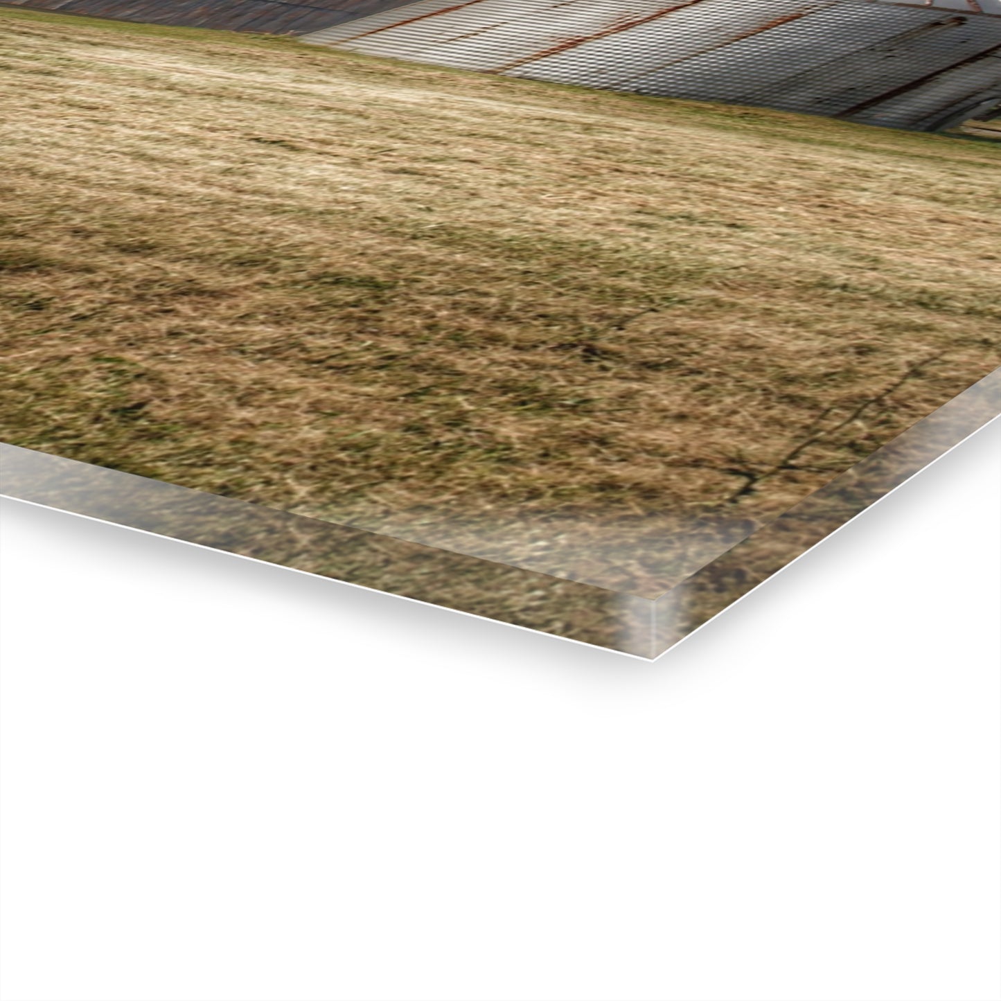 U R There Photography Hough Road Green Quonset II Rustic Farmhouse Acrylic Wall Print