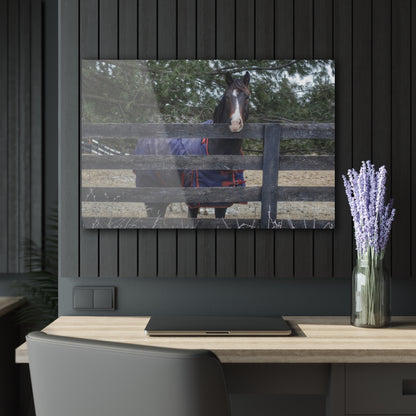 U R There Photography Hosner Road Chestnut Rustic Farmhouse Acrylic Wall Print