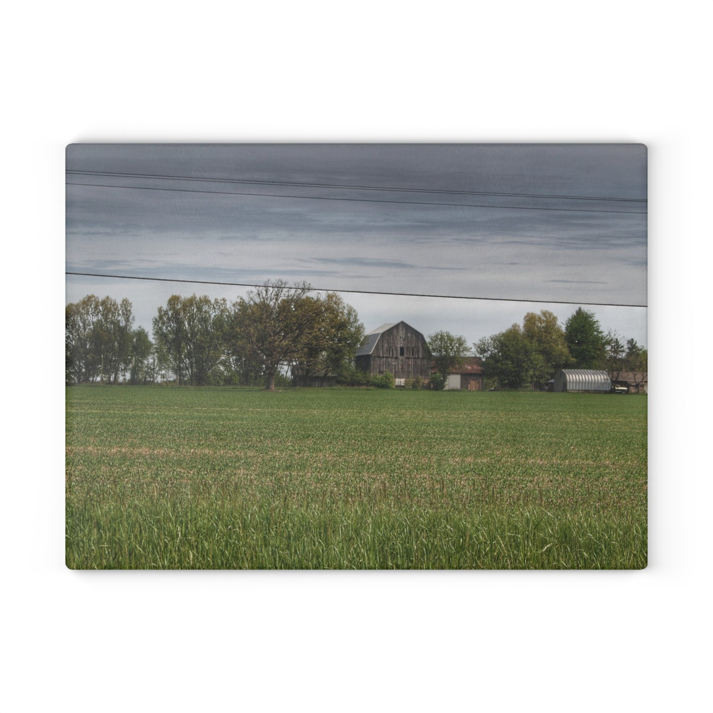 U R There Photography Old Grey Across the Field Rustic Farmhouse Tempered-Glass Cutting Board