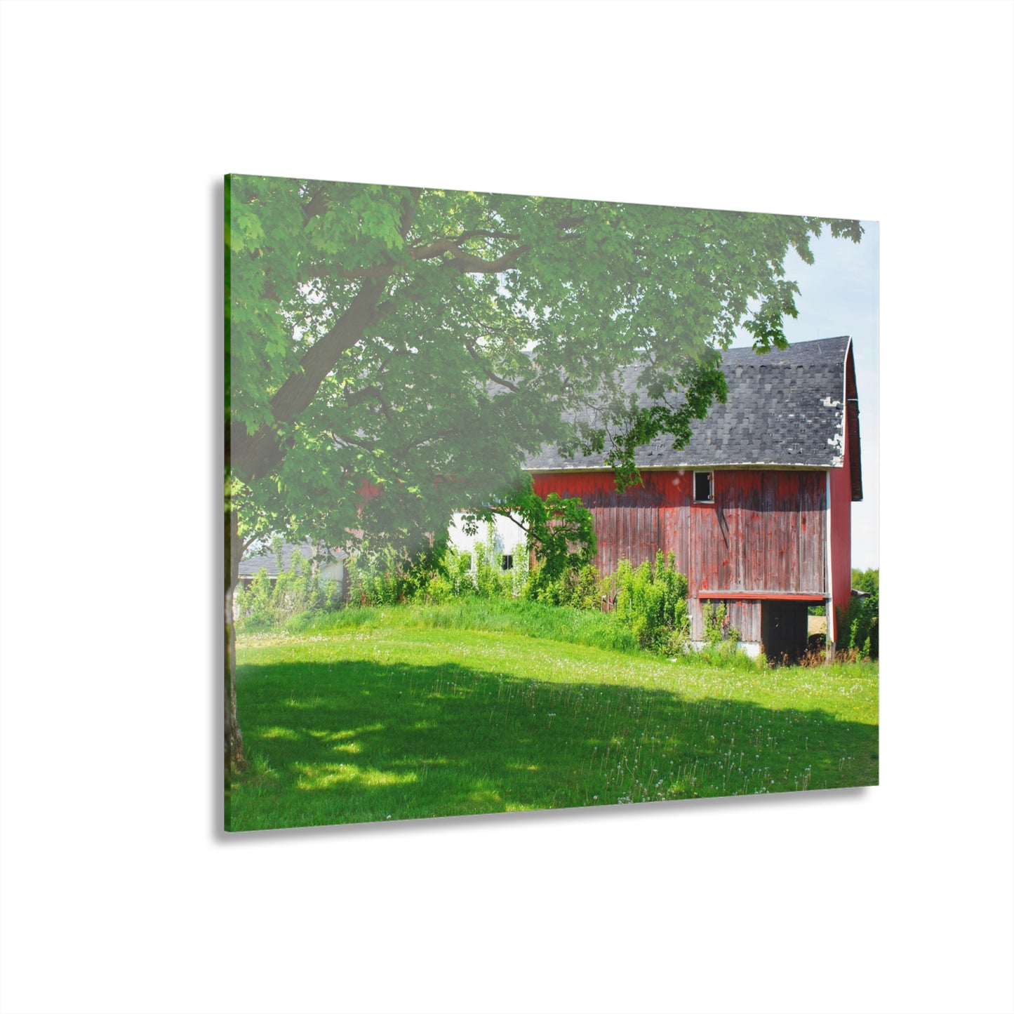 U R There Photography Colwood Road Red Rustic Farmhouse Acrylic Wall Print