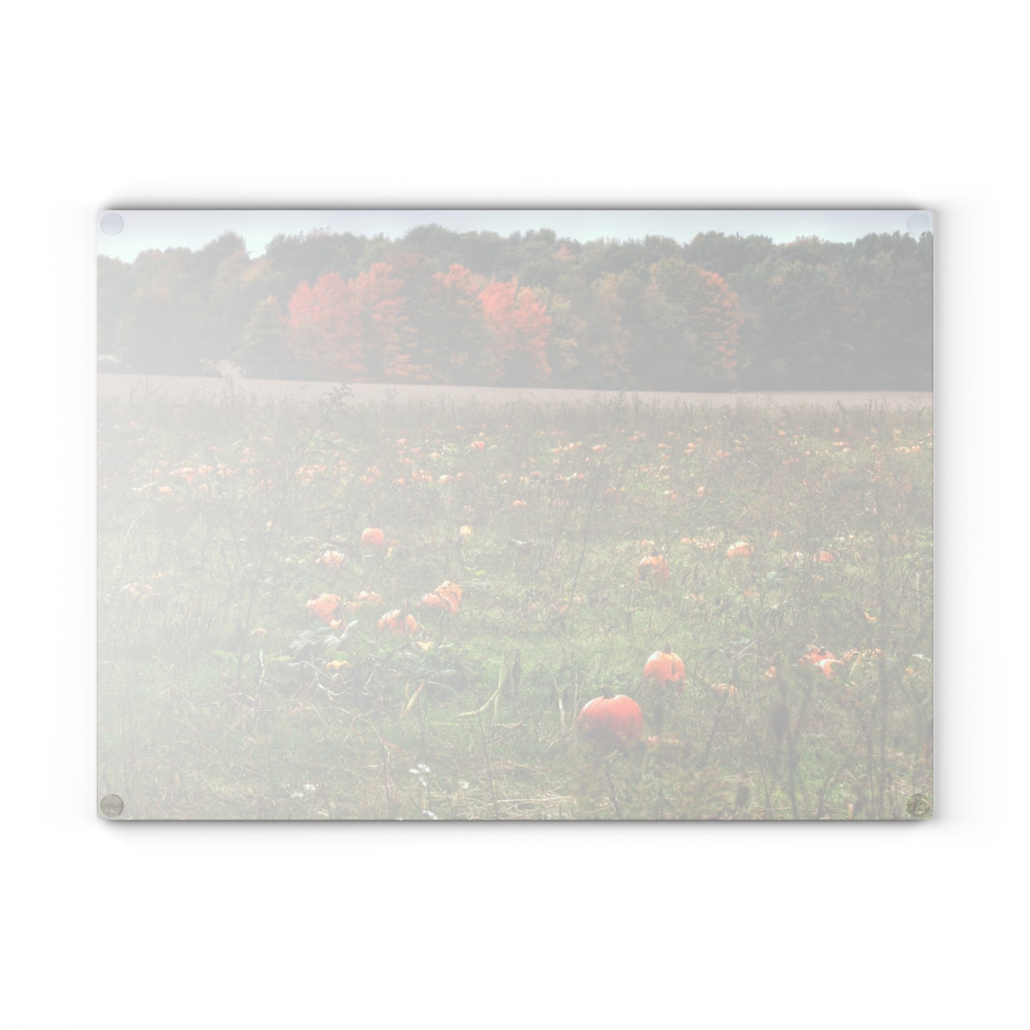 Barn Boutique Rustic Tempered-Glass Cutting Board| Once Upon a Time in a Pumpkin Patch