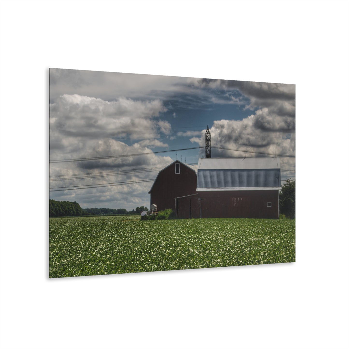 U R There Photography South Reese Road Reds Rustic Farmhouse Acrylic Wall Print
