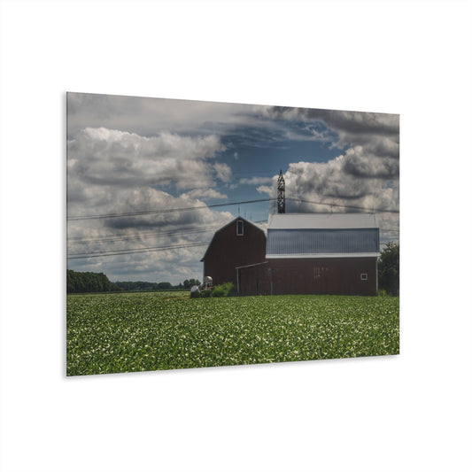 U R There Photography South Reese Road Reds Rustic Farmhouse Acrylic Wall Print