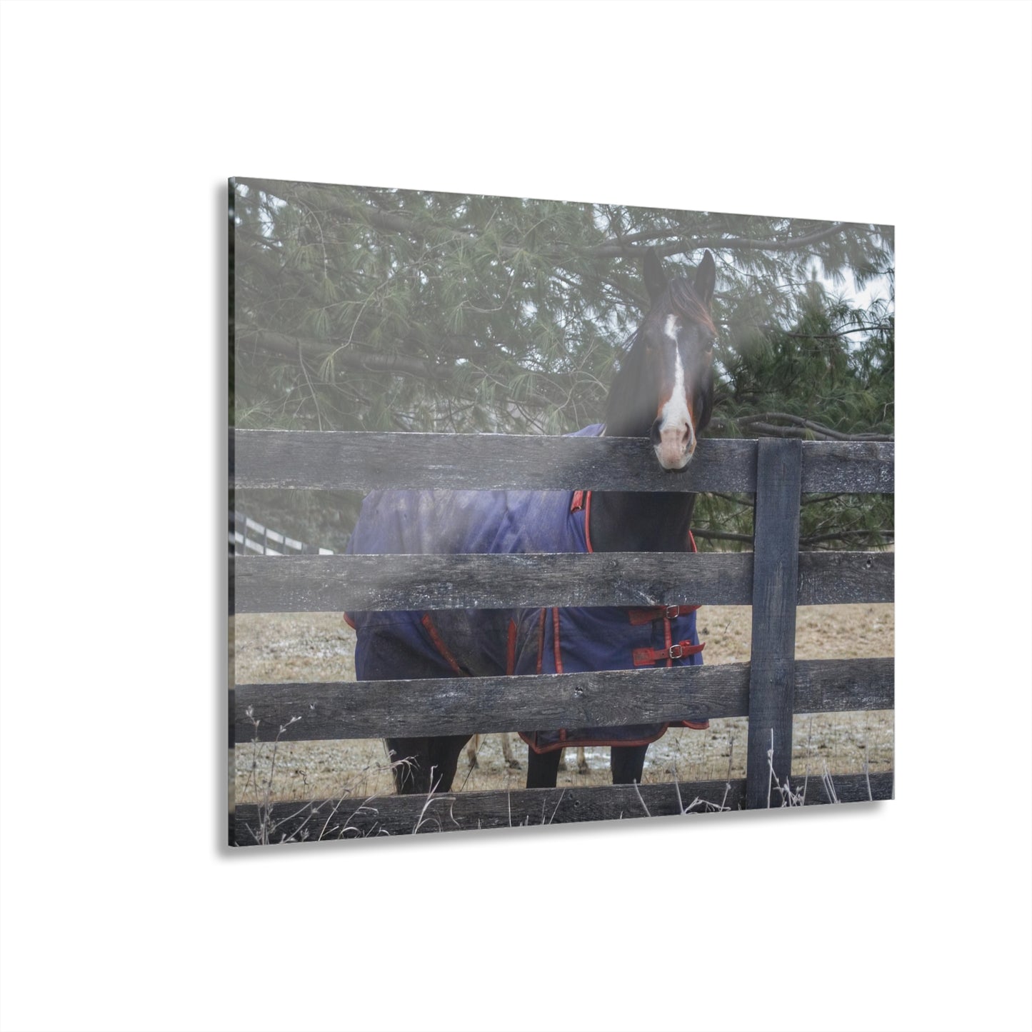 U R There Photography Hosner Road Chestnut Rustic Farmhouse Acrylic Wall Print