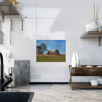 U R There Photography Bay City - Forestville Forgotten Grey Rustic Farmhouse Decorative Ceramic Tile