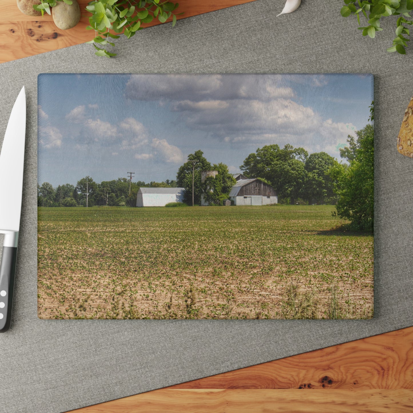 U R There Photography Willard Road White Rustic Farmhouse Tempered-Glass Cutting Board