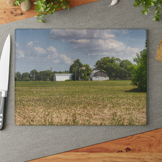 U R There Photography Willard Road White Rustic Farmhouse Tempered-Glass Cutting Board