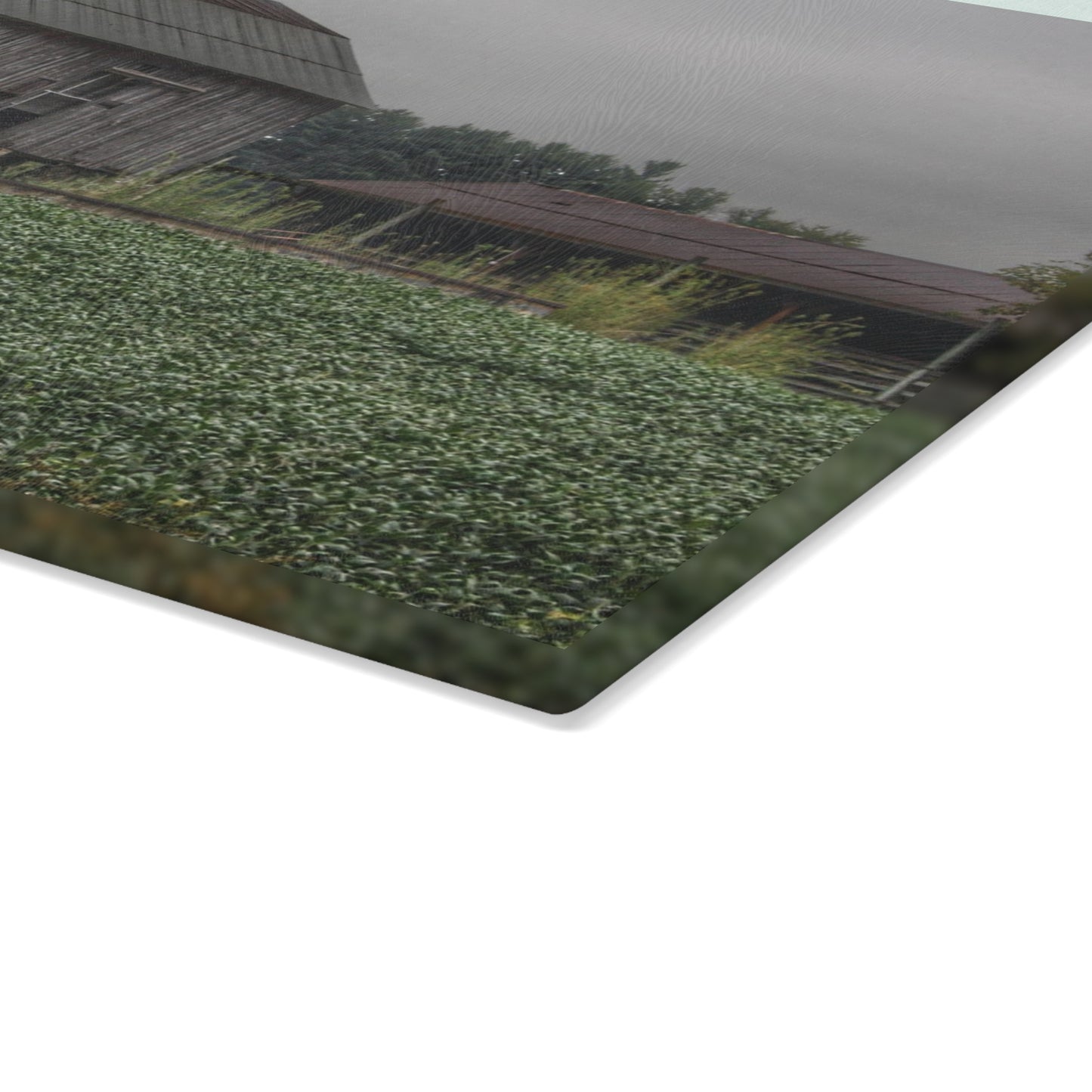 U R There Photography East Millington Road Grey and Stable Rustic Farmhouse Tempered-Glass Cutting Board