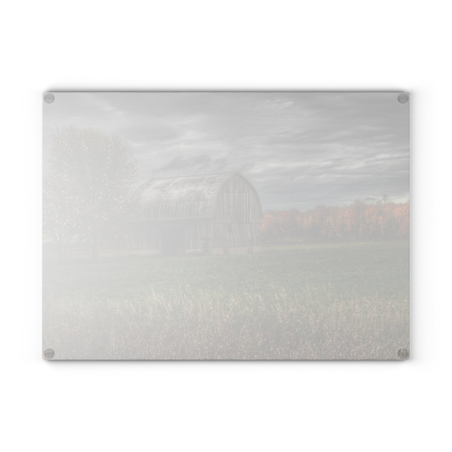 U R There Photography Bray Road Grey in the Fall Rustic Farmhouse Tempered-Glass Cutting Board