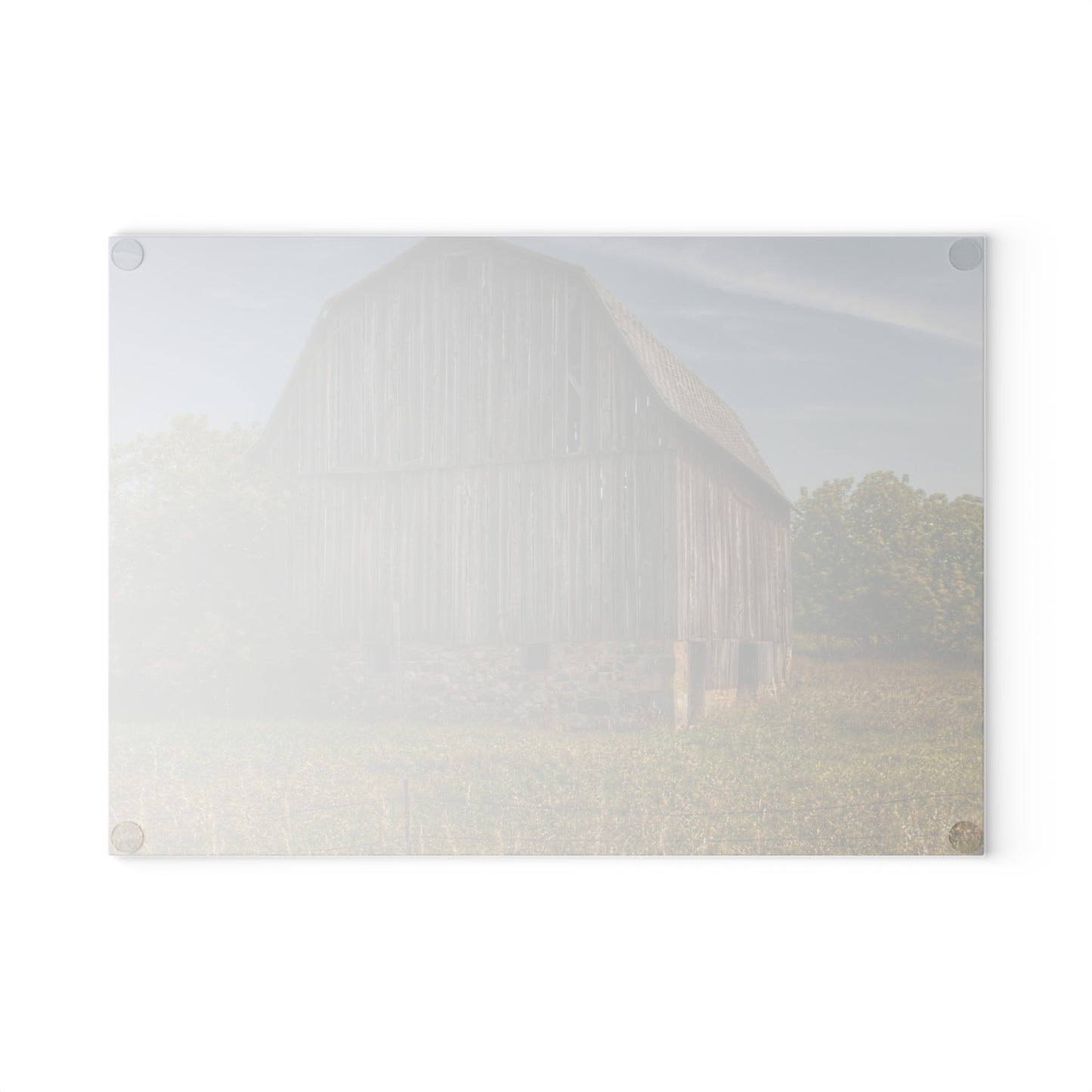 U R There Photography Cat Lake Grey II Rustic Farmhouse Tempered-Glass Cutting Board