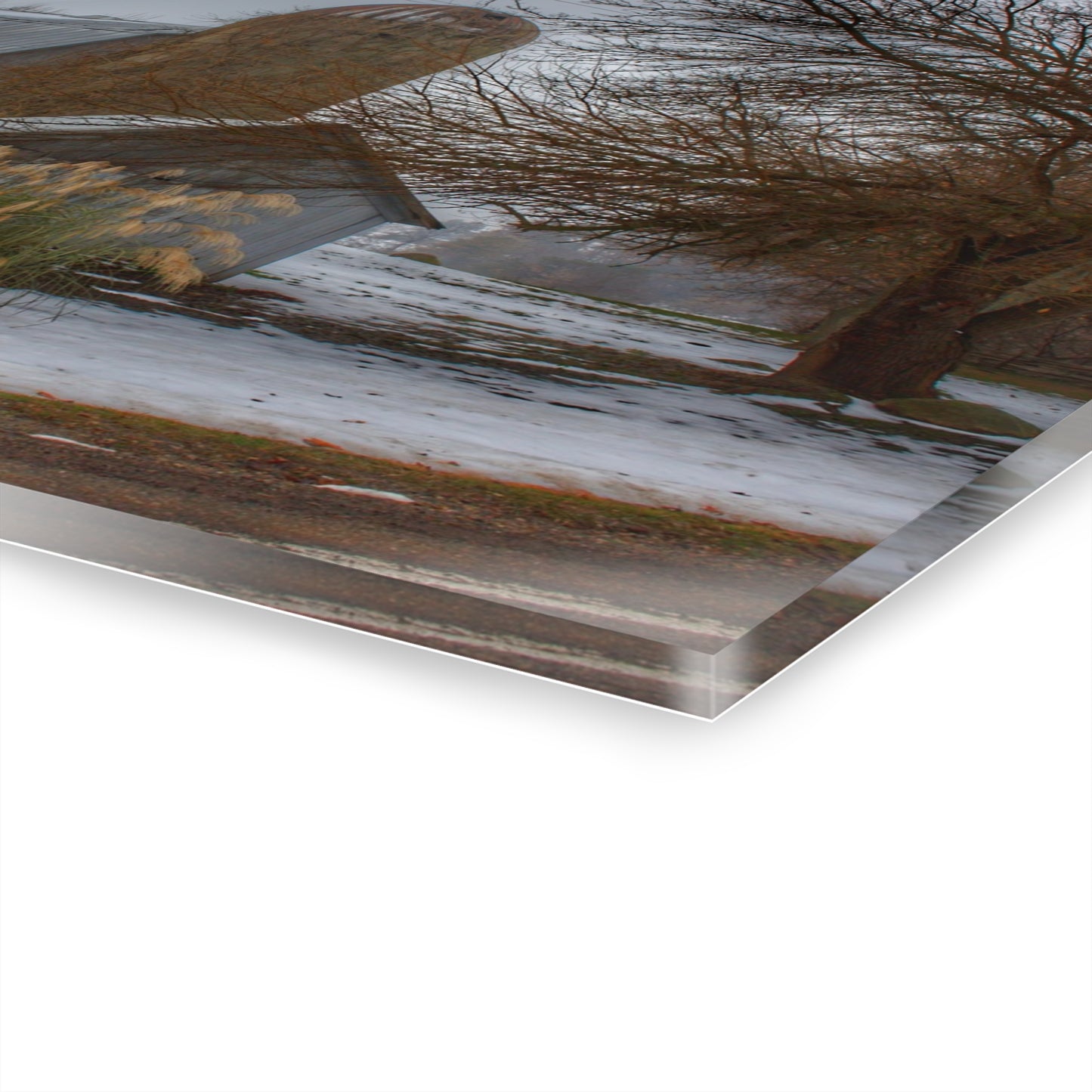 U R There Photography Ludwig Road Greys in the Fog Rustic Farmhouse Acrylic Wall Print