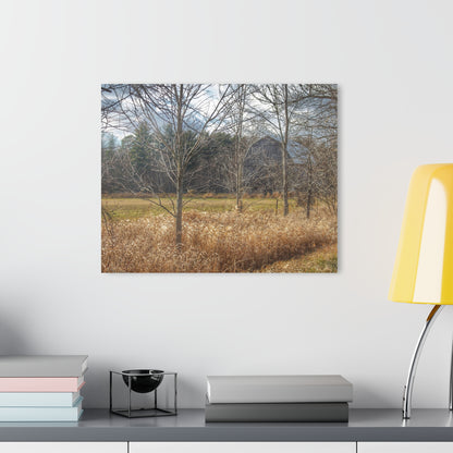 U R There Photography Speaker Road Hidden Grey Rustic Farmhouse Acrylic Wall Print