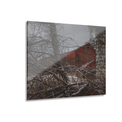 U R There Photography Sandhill Road Hidden Red II Rustic Farmhouse Acrylic Wall Print