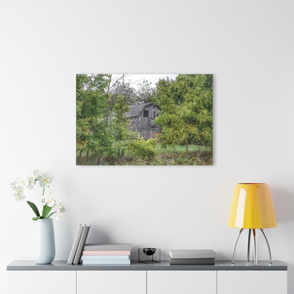 U R There Photography Hayes Road Hidden I Rustic Farmhouse Acrylic Wall Print