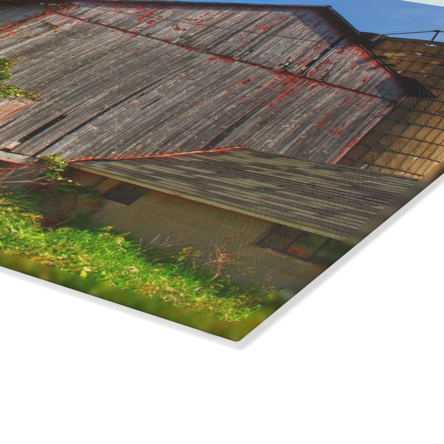 U R There Photography Marlette Red II Rustic Farmhouse Tempered-Glass Cutting Board