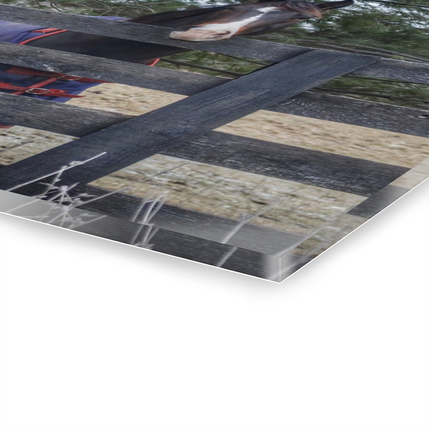 U R There Photography Hosner Road Chestnut Rustic Farmhouse Acrylic Wall Print