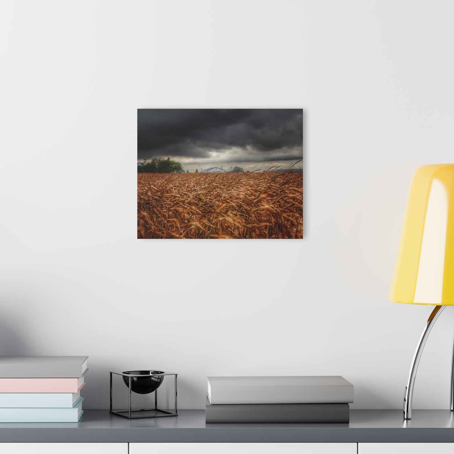 U R There Photography Garner Road Hidden White Rustic Farmhouse Acrylic Wall Print