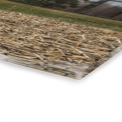 U R There Photography Fostoria Road Standing Man Red Rustic Farmhouse Acrylic Wall Print