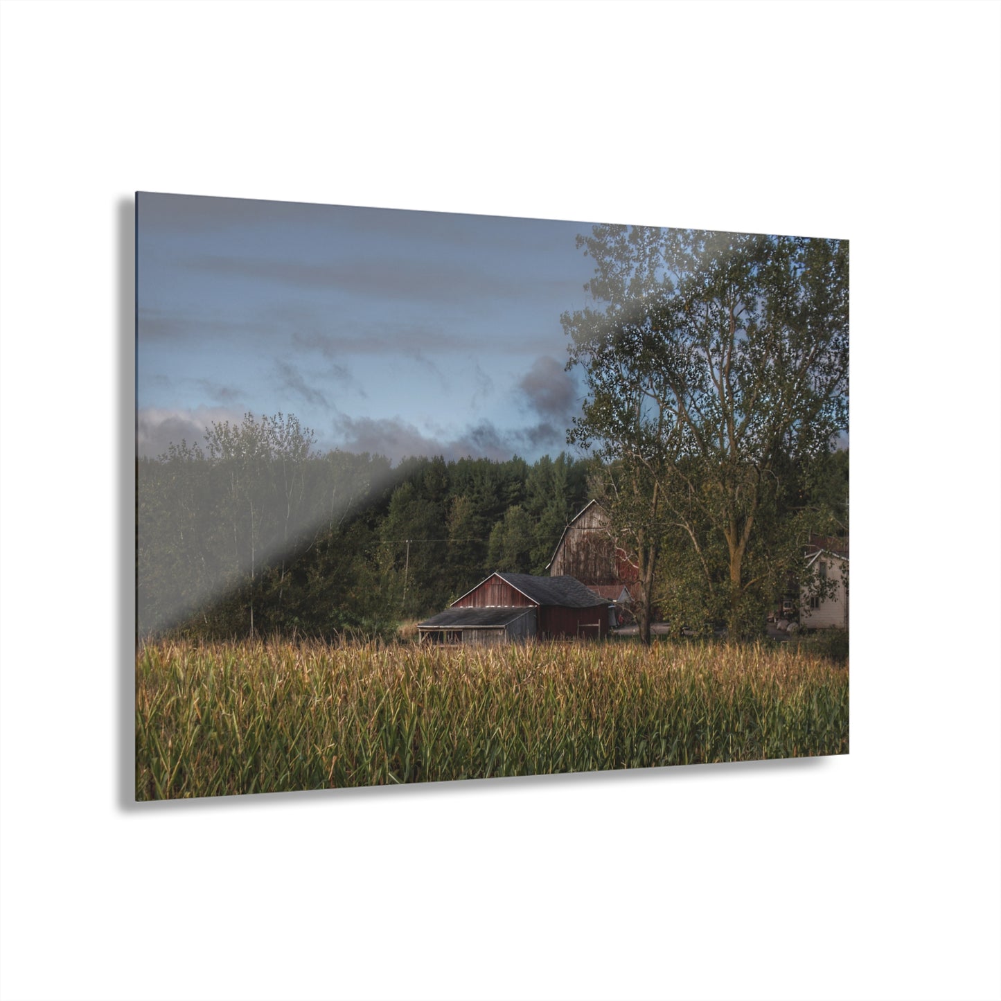 U R There Photography West Oregon Road Hidden Red II Rustic Farmhouse Acrylic Wall Print