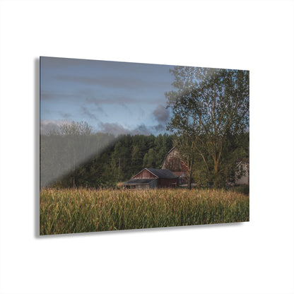 U R There Photography West Oregon Road Hidden Red II Rustic Farmhouse Acrylic Wall Print